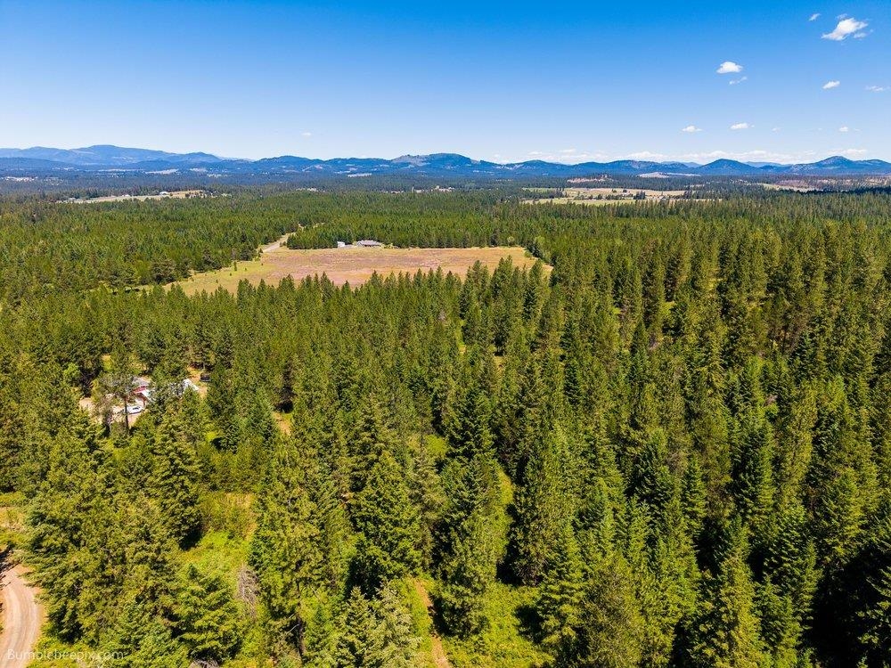 10307 Jasmine Lane Chattaroy, WA 99003 - Photo 29 of 49