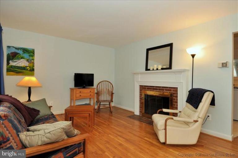 10405 Procter Street Silver Spring, MD 20901 - Photo 4 of 27 a living room with furniture and a fireplace