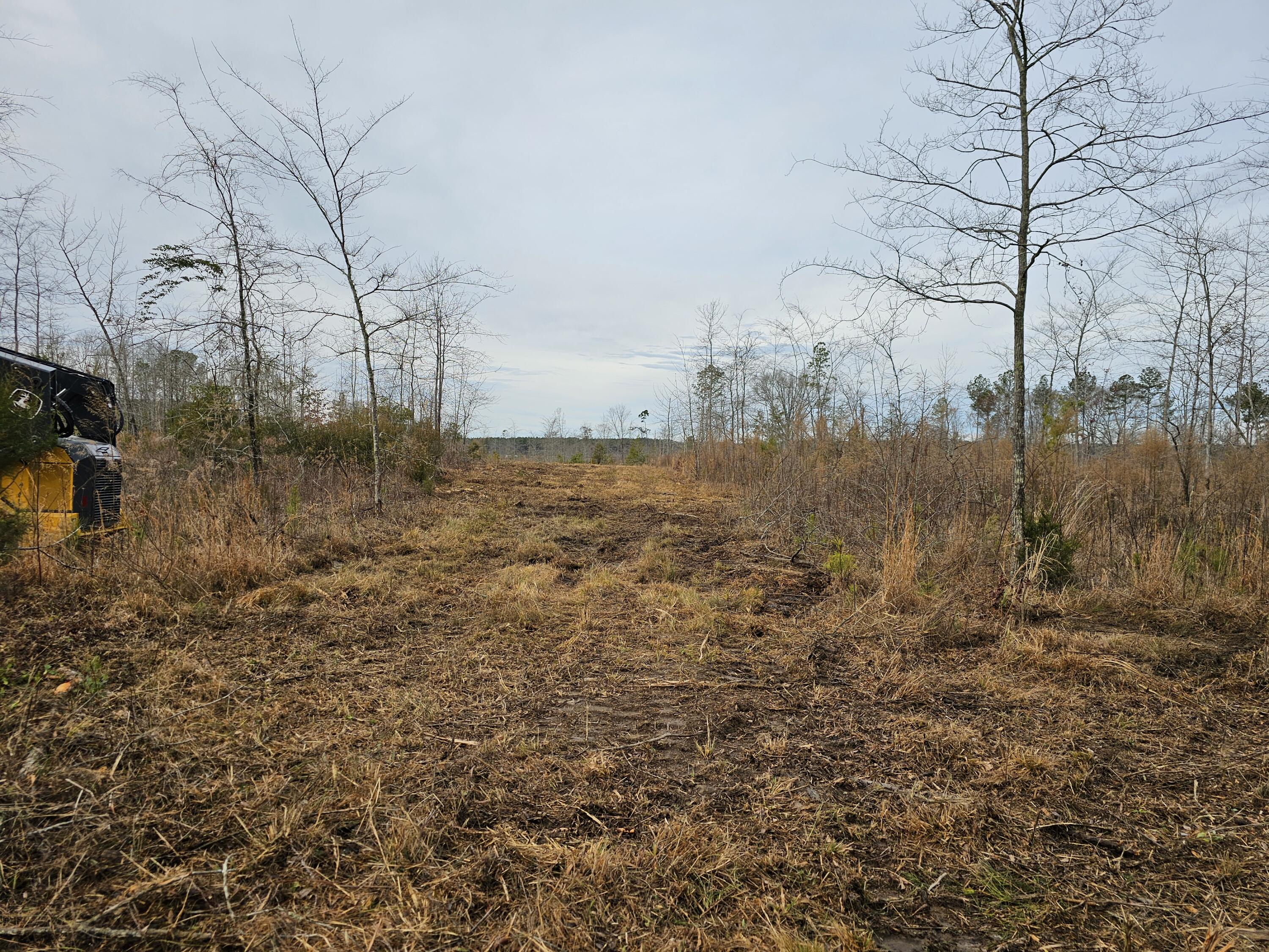 20-a (tbd) Ouzts Edgefield, SC 29824 - Photo 1 of 6 land
