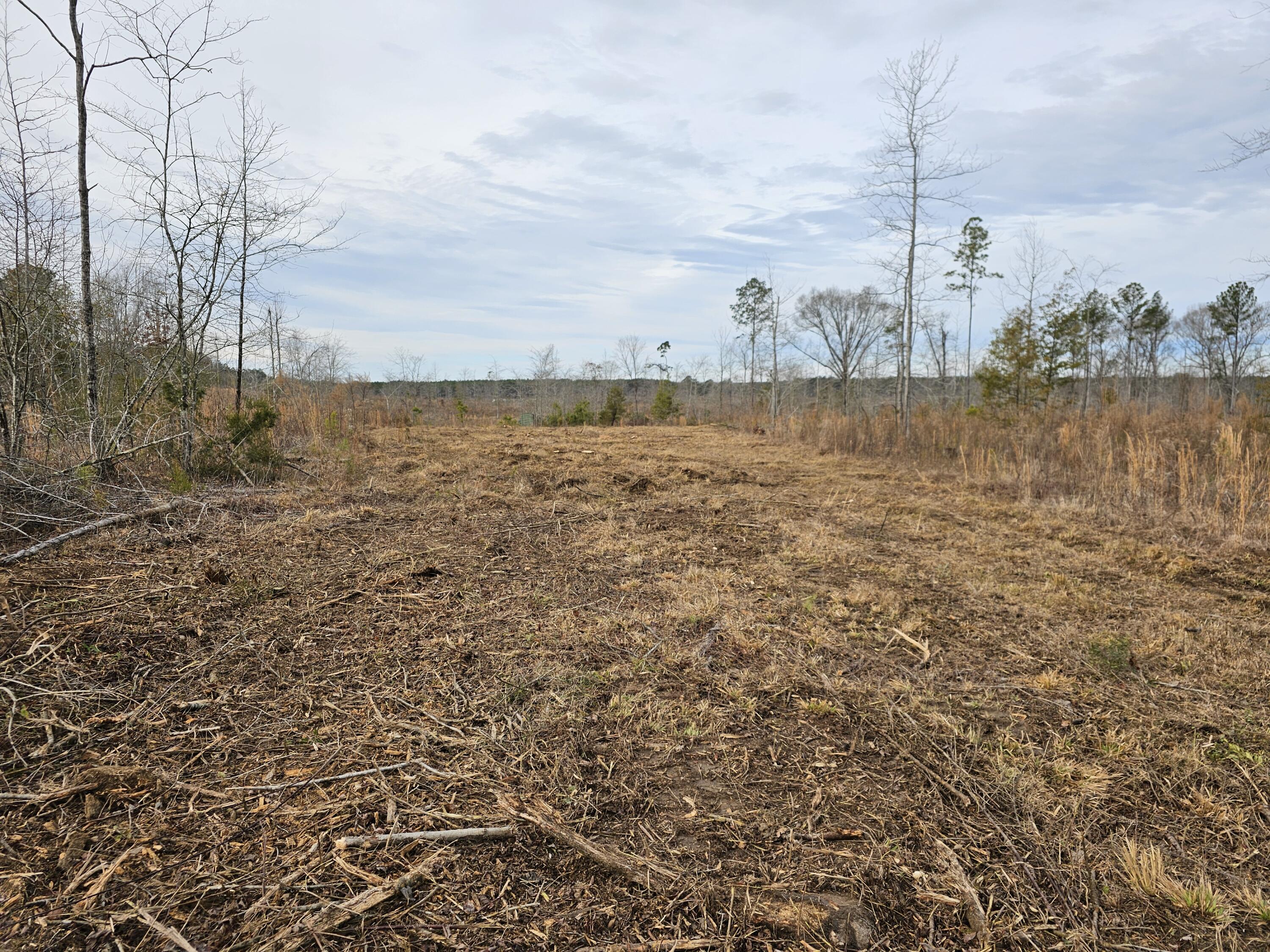 20-a (tbd) Ouzts Edgefield, SC 29824 - Photo 4 of 6 20240108_105214