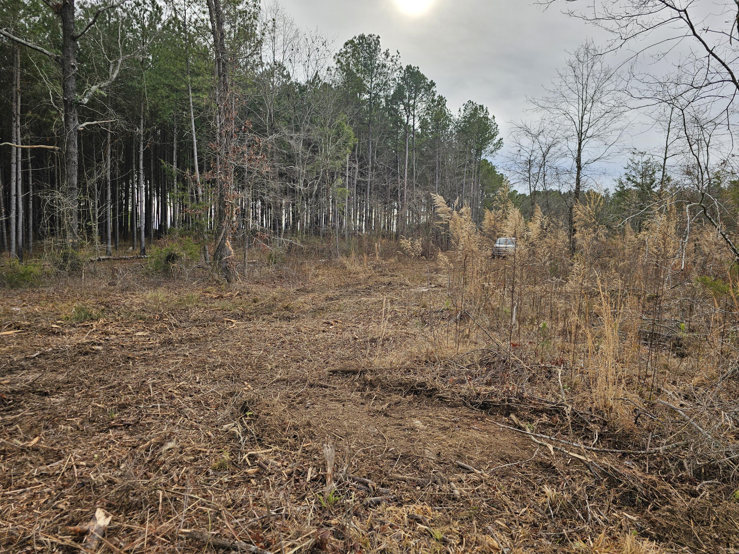 20-a (tbd) Ouzts Edgefield, SC 29824 - Photo 6 of 6 20240108_102924