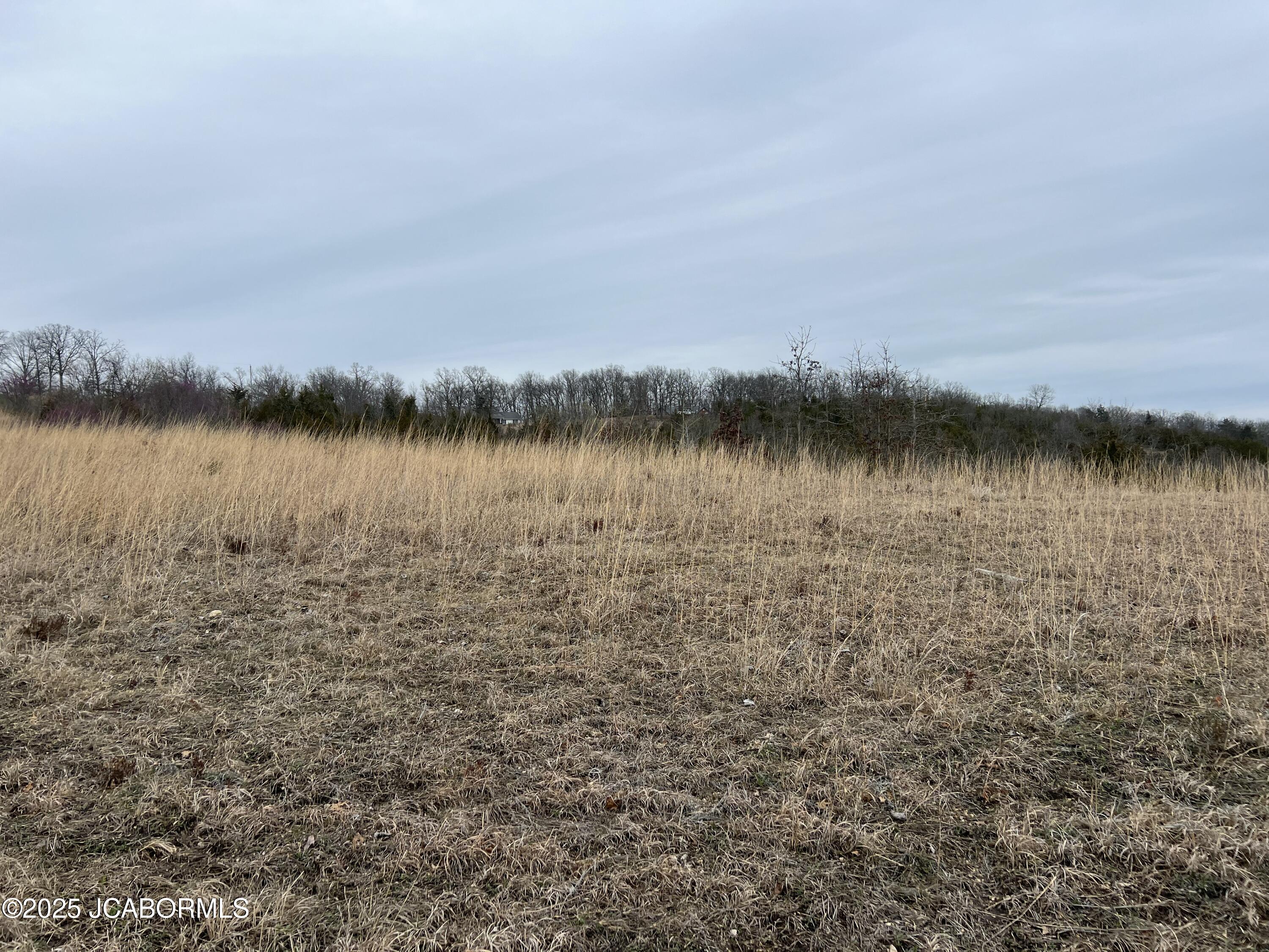 Tbd Swift Road Henley, MO 65040 - Photo 1 of 2