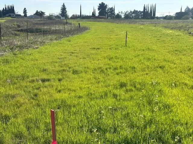 a view of a lake with houses in the back