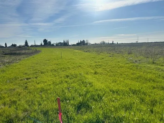 a view of a large body of water with lots of green space