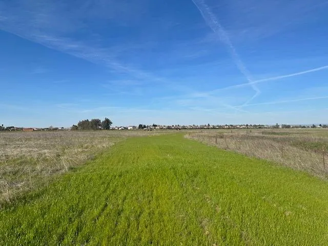 a view of an ocean and beach