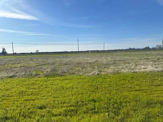 a view of a field with an ocean