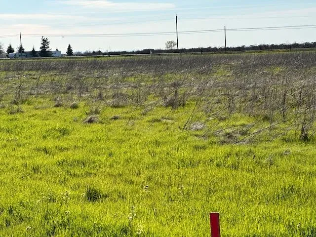 a view of a lake with a large bridge