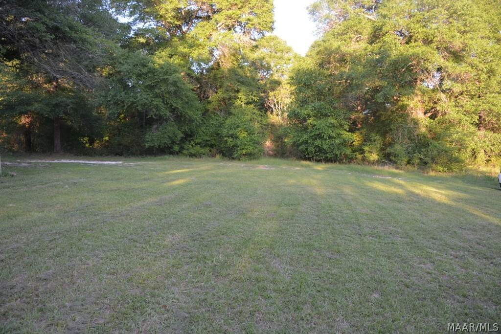 205 Sam Eldridge Road Coffee Springs, AL 36318 - Photo 33 of 34 Gallery Image 33