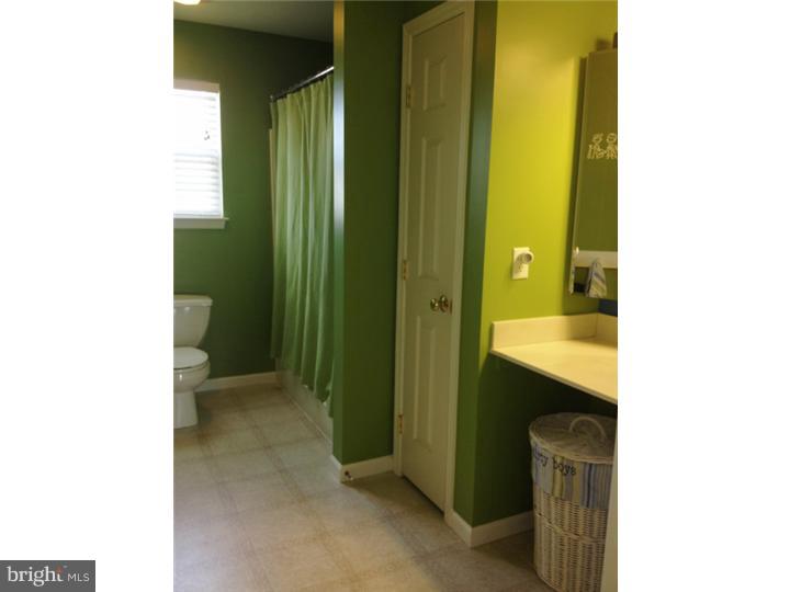 2501 Simon Drive Sinking Spring, PA 19608 - Photo 15 of 20 Bathroom