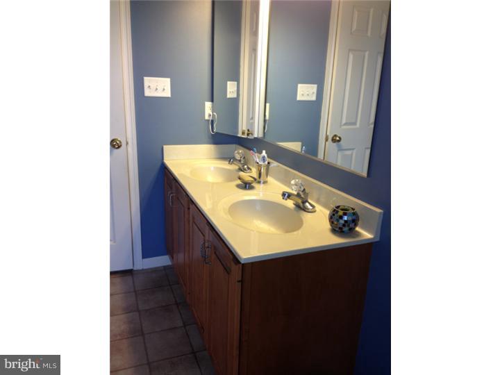 2501 Simon Drive Sinking Spring, PA 19608 - Photo 9 of 20 Master Bathroom