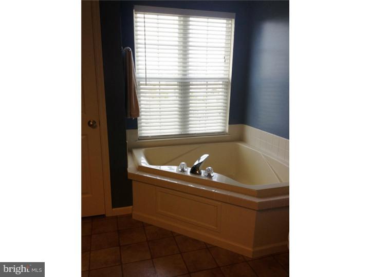 2501 Simon Drive Sinking Spring, PA 19608 - Photo 10 of 20 Master Bathroom