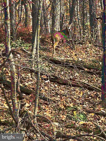 $1,149,000 | 1299 Edison Heights, Sunbury, PA 17801