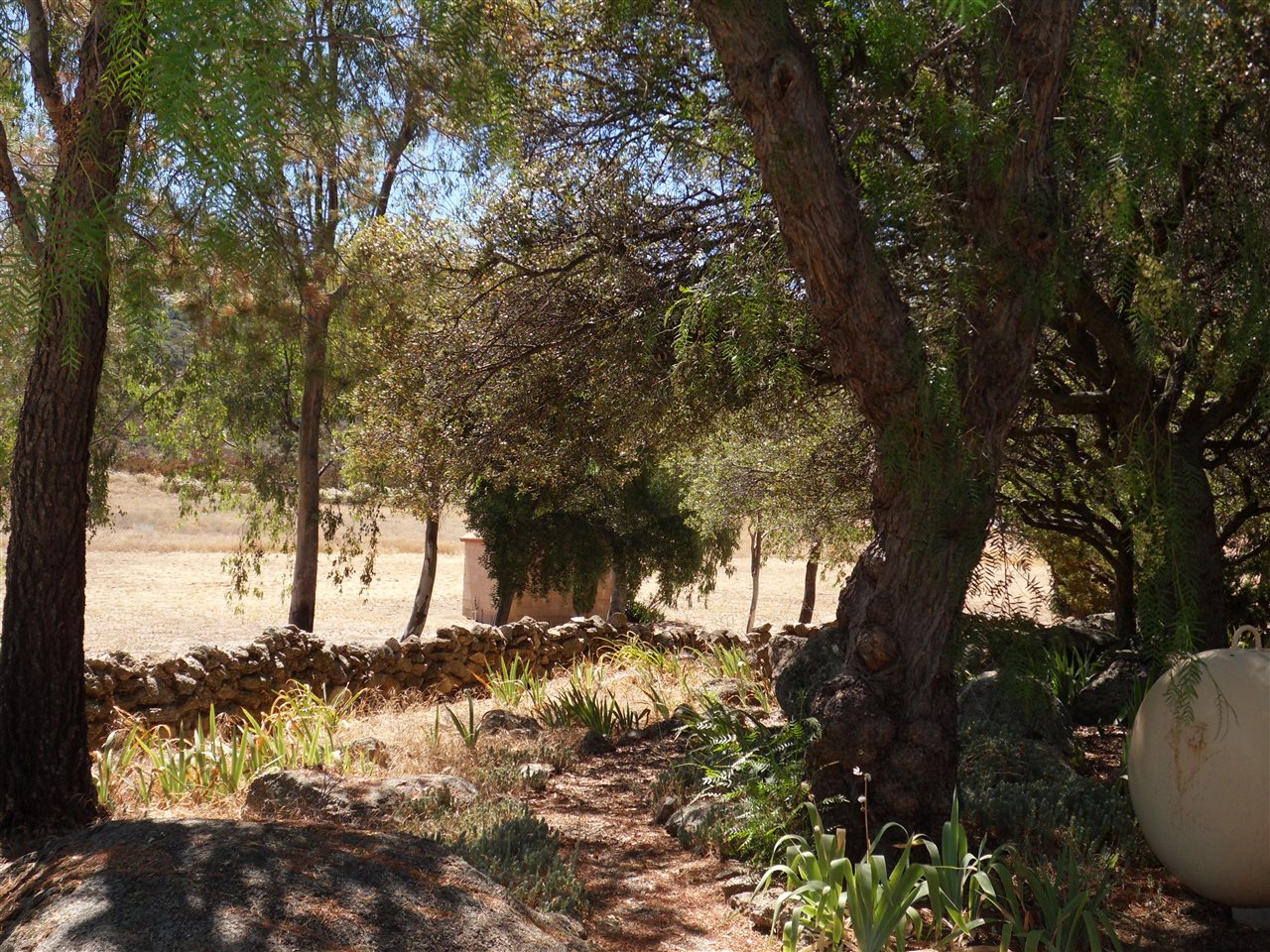 1240 Harris Ranch Road Potrero, CA 91963 - Photo 18 of 25