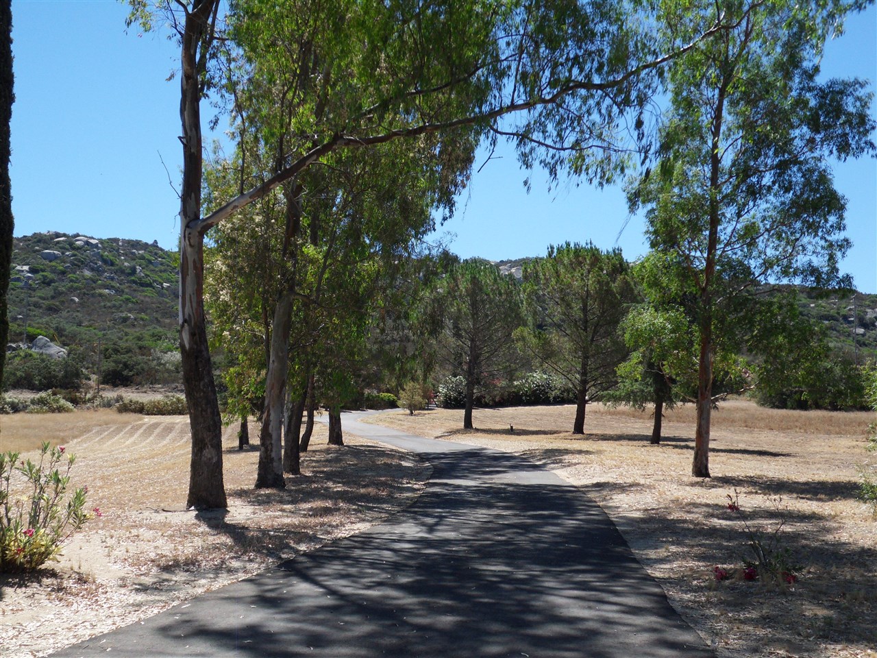 1240 Harris Ranch Road Potrero, CA 91963 - Photo 24 of 25