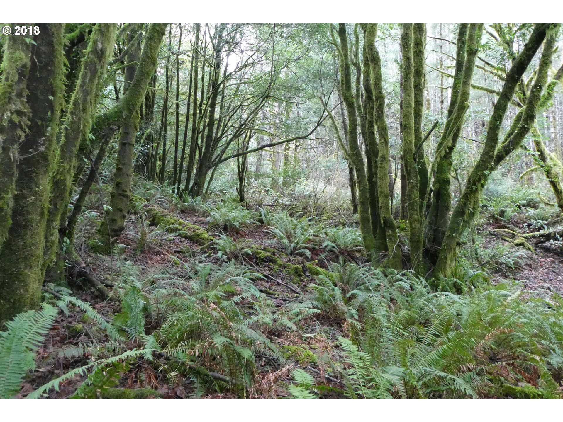 Jerrys Flat Road, Unit 399 Gold Beach, OR 97444 - Photo 1 of 23 Gallery Image 1