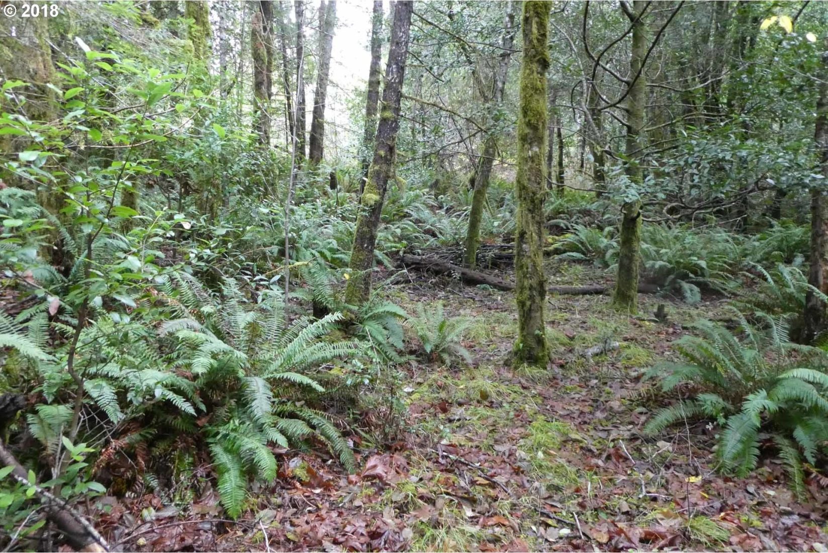 Jerrys Flat Road, Unit 399 Gold Beach, OR 97444 - Photo 2 of 23 Gallery Image 2