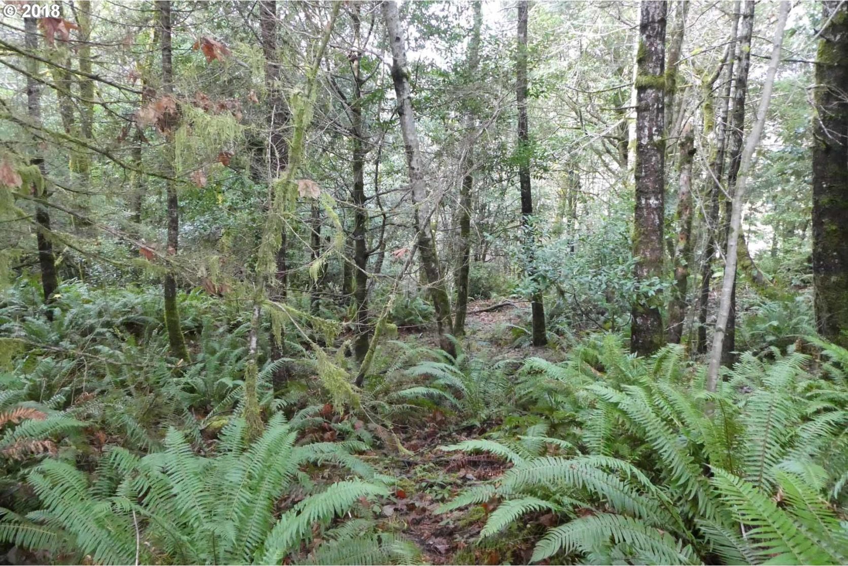 Jerrys Flat Road, Unit 399 Gold Beach, OR 97444 - Photo 11 of 23 Gallery Image 11