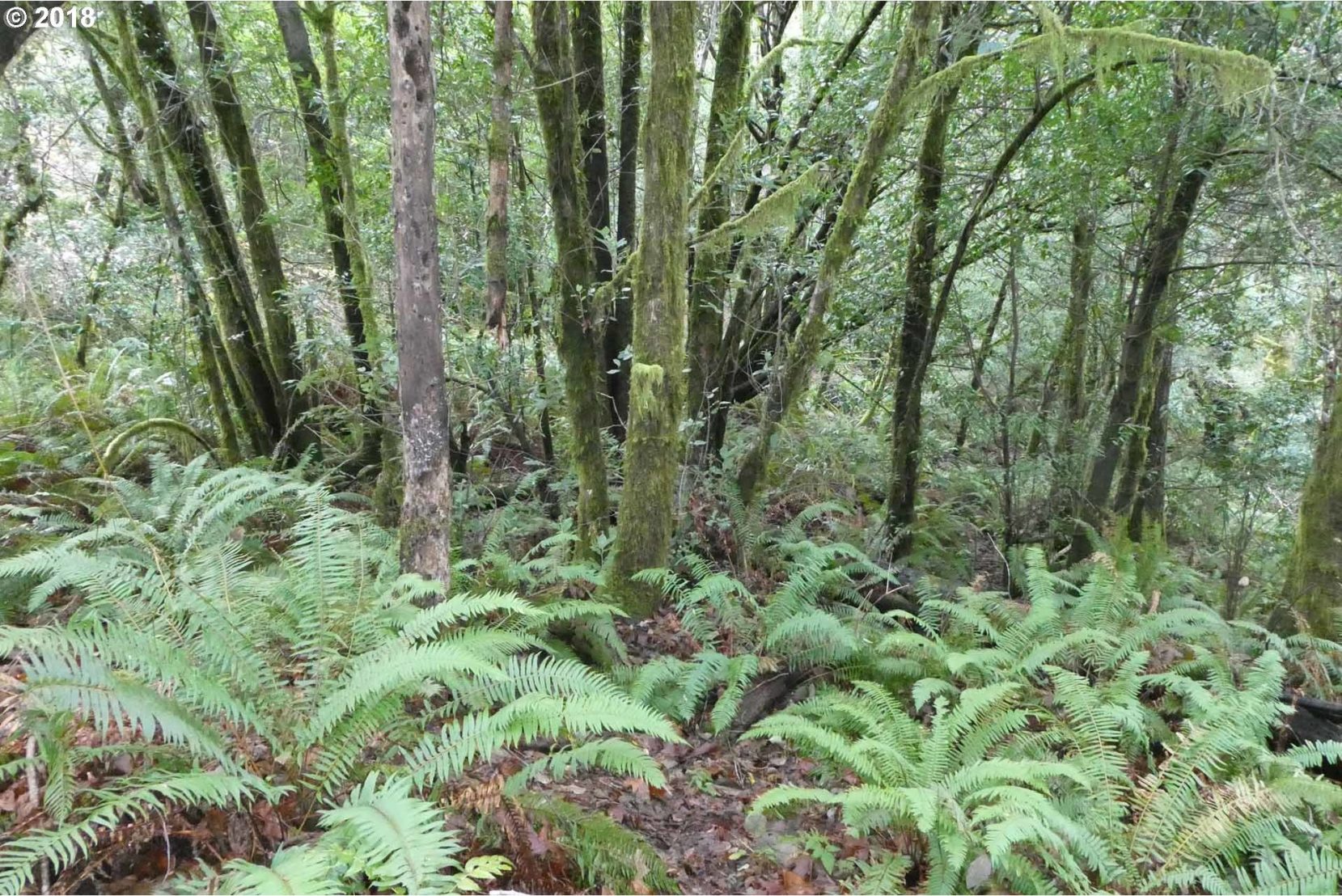 Jerrys Flat Road, Unit 399 Gold Beach, OR 97444 - Photo 12 of 23 Gallery Image 12
