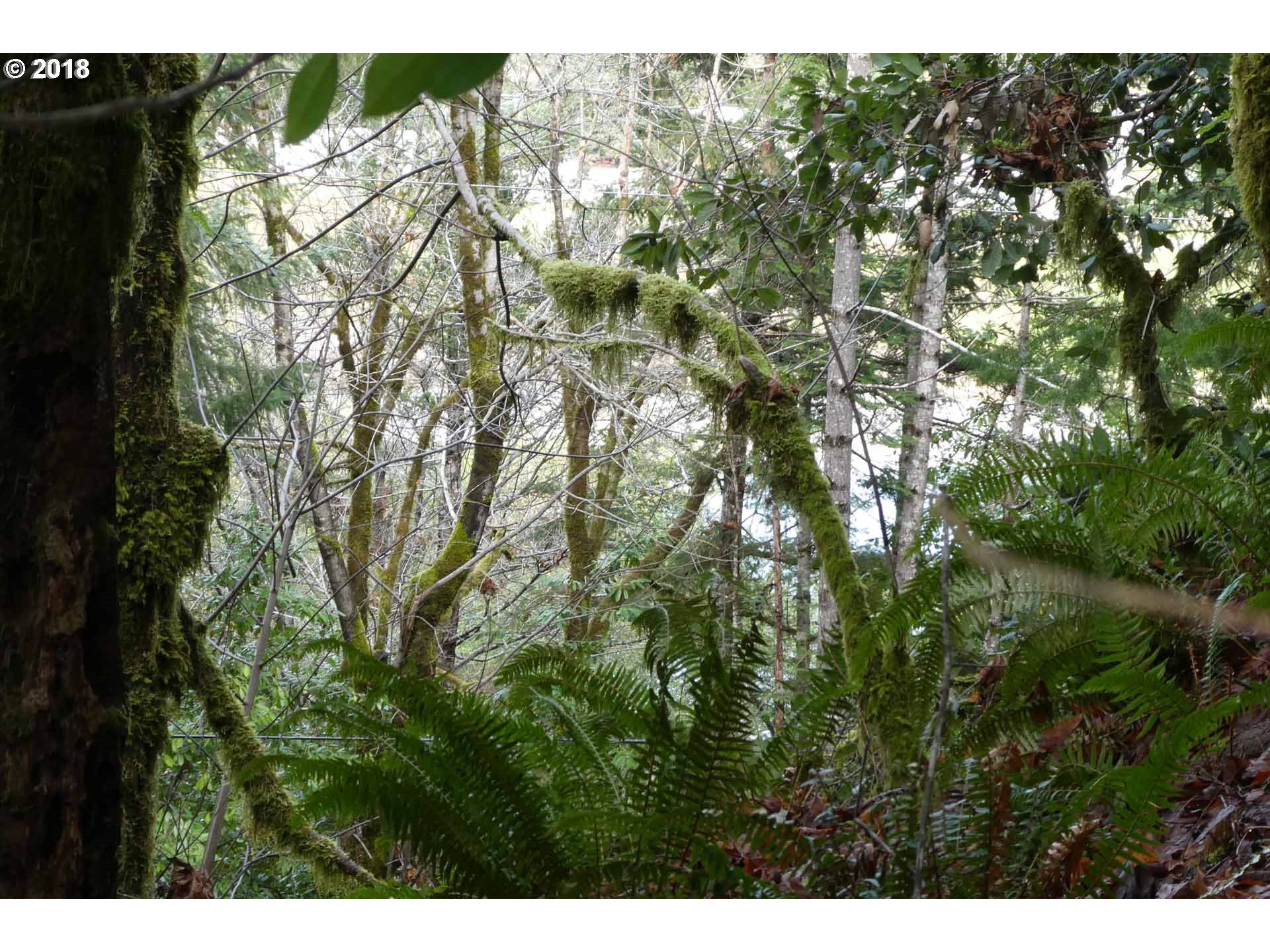Jerrys Flat Road, Unit 399 Gold Beach, OR 97444 - Photo 17 of 23 Gallery Image 17