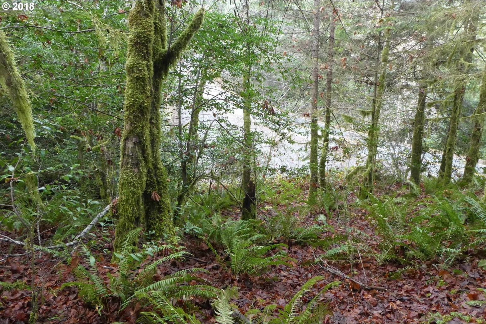 Jerrys Flat Road, Unit 399 Gold Beach, OR 97444 - Photo 18 of 23 Gallery Image 18