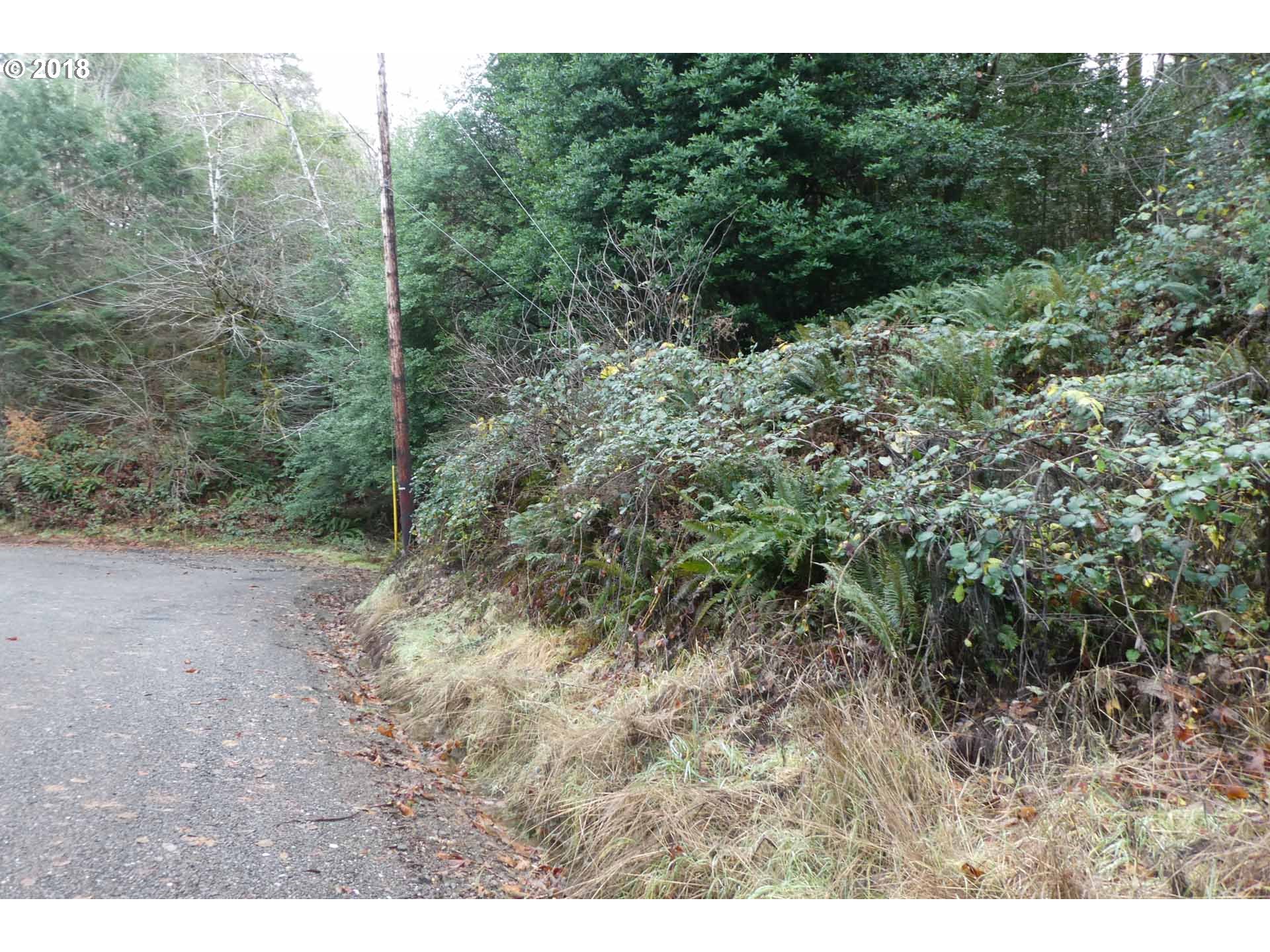 Jerrys Flat Road, Unit 399 Gold Beach, OR 97444 - Photo 22 of 23 Gallery Image 22