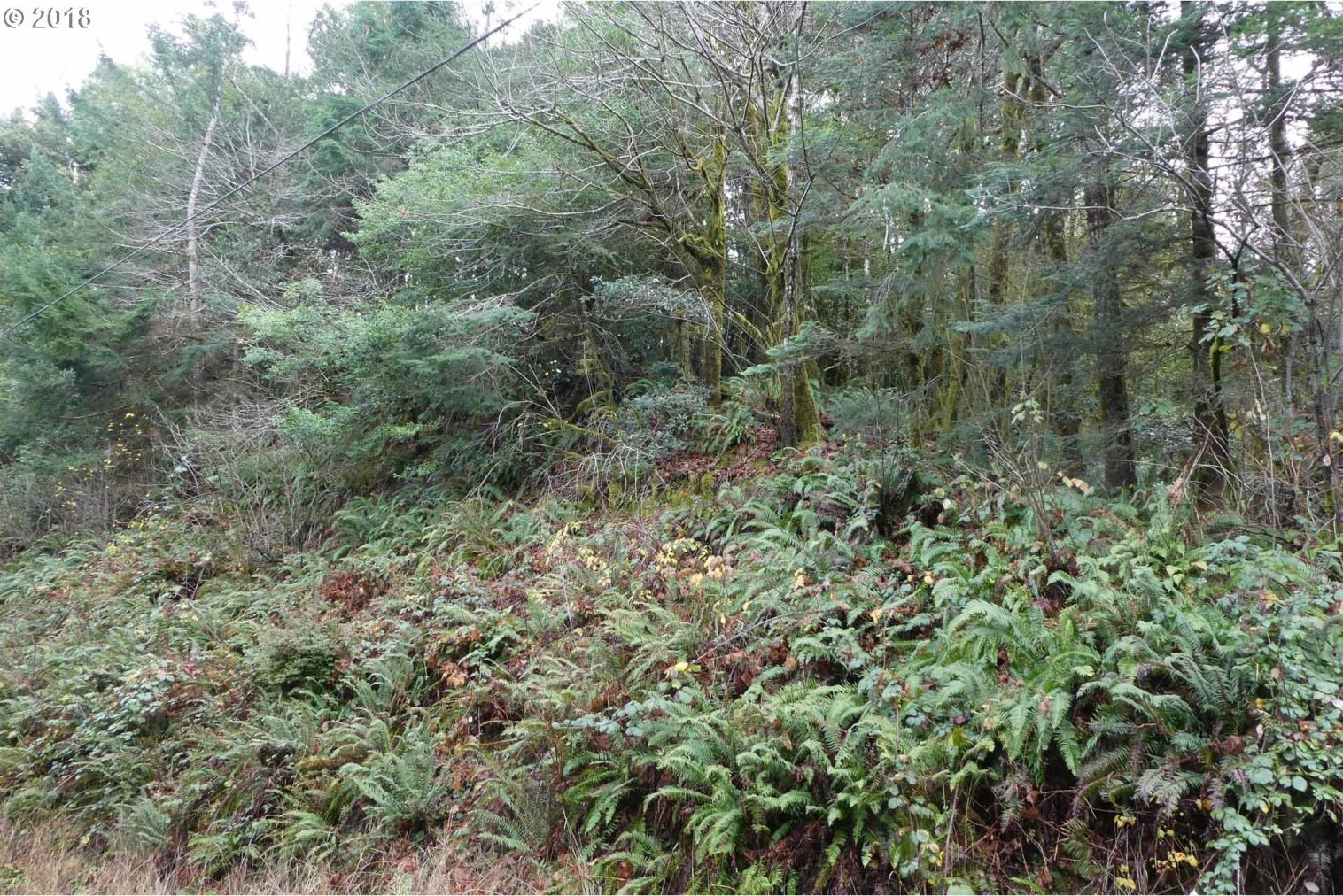 Jerrys Flat Road, Unit 399 Gold Beach, OR 97444 - Photo 23 of 23 Gallery Image 23