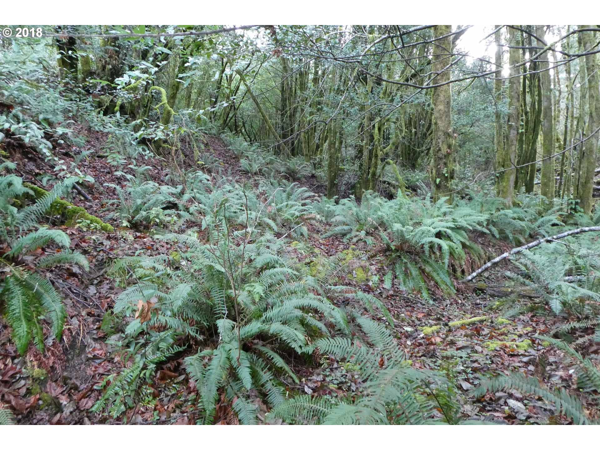 Jerrys Flat Road, Unit 399 Gold Beach, OR 97444 - Photo 4 of 23 Gallery Image 4