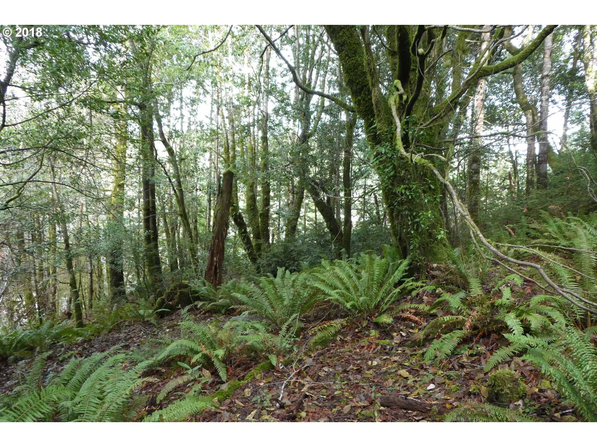 Jerrys Flat Road, Unit 399 Gold Beach, OR 97444 - Photo 10 of 23 Gallery Image 10