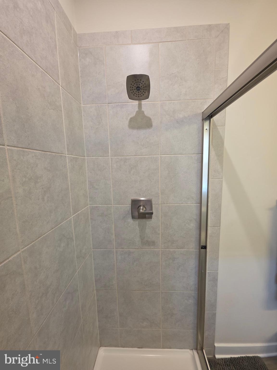 14510 Hunts Farm Road Brandywine, MD 20613 - Photo 54 of 74 Master Shower/His and hers shower heads