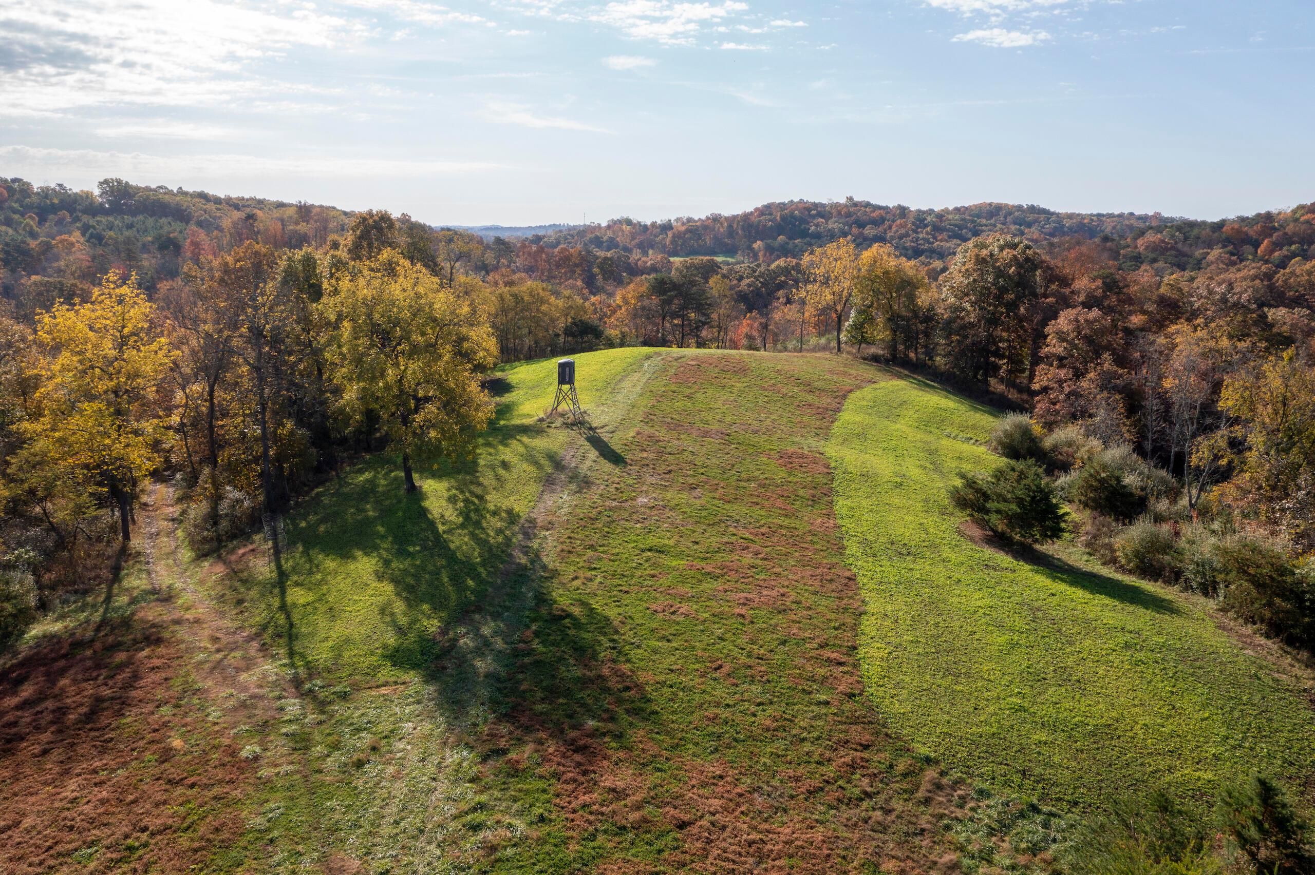 1426 Sealy Ridge Road Vincent, OH 45784 - Photo 11 of 52 DJI_0756-60