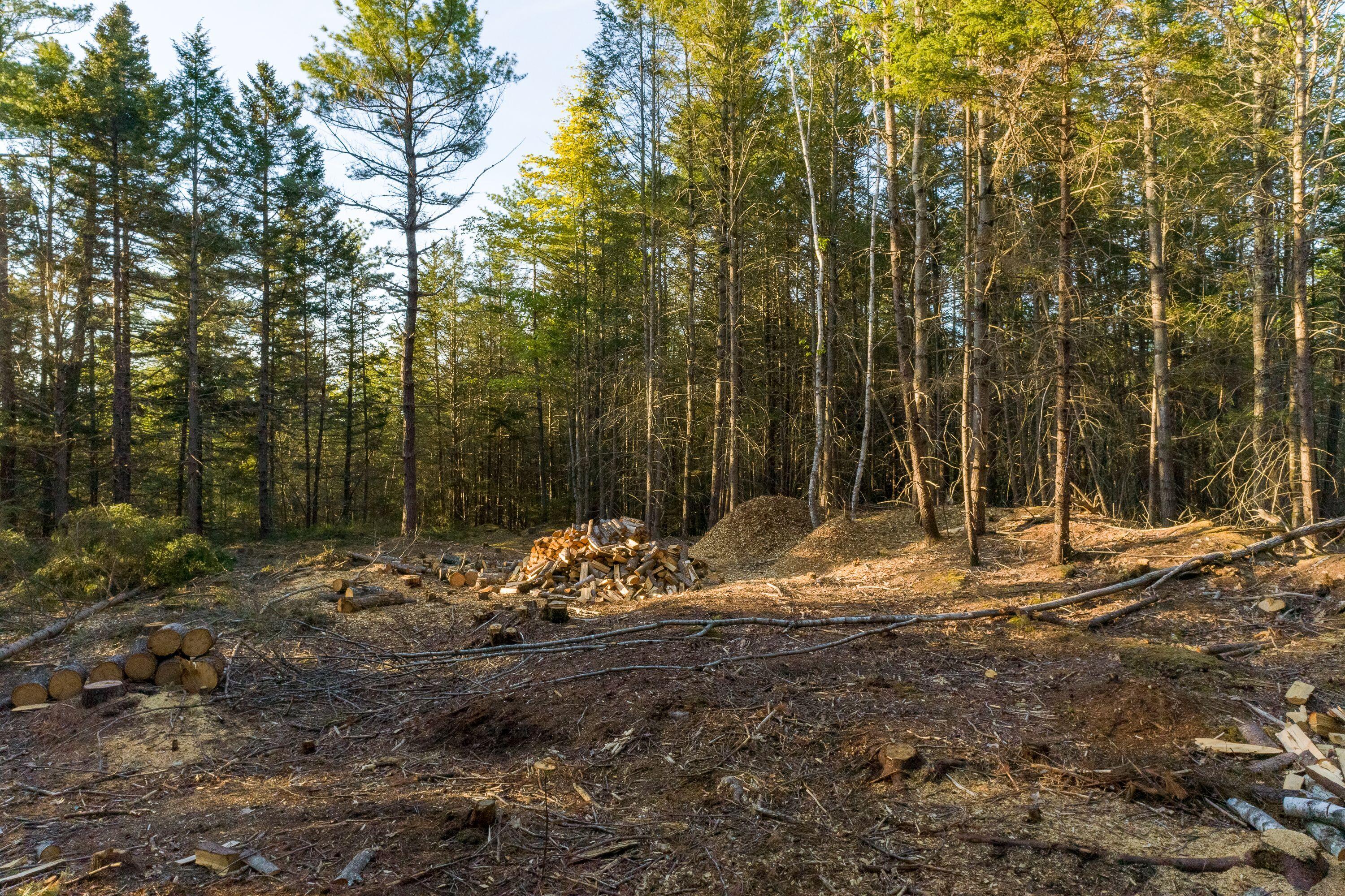 Lot 19 Mountain Road West Bath, ME 04530 - Photo 12 of 18 Interior Lot