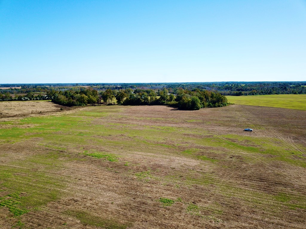 92 County Road 92 Slocomb, AL 36375 - Photo 3 of 8