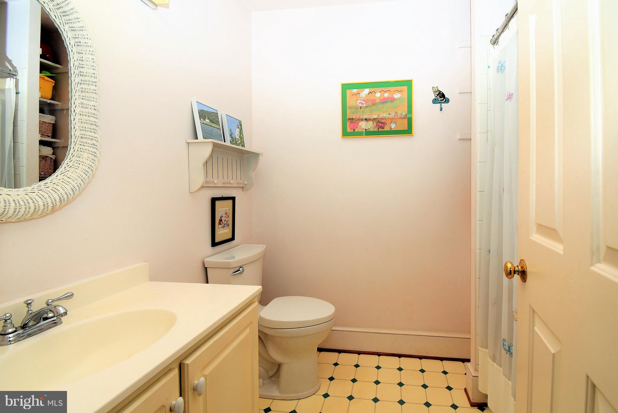 237 Blue Ridge Road Orange, VA 22960 - Photo 17 of 28 Bath