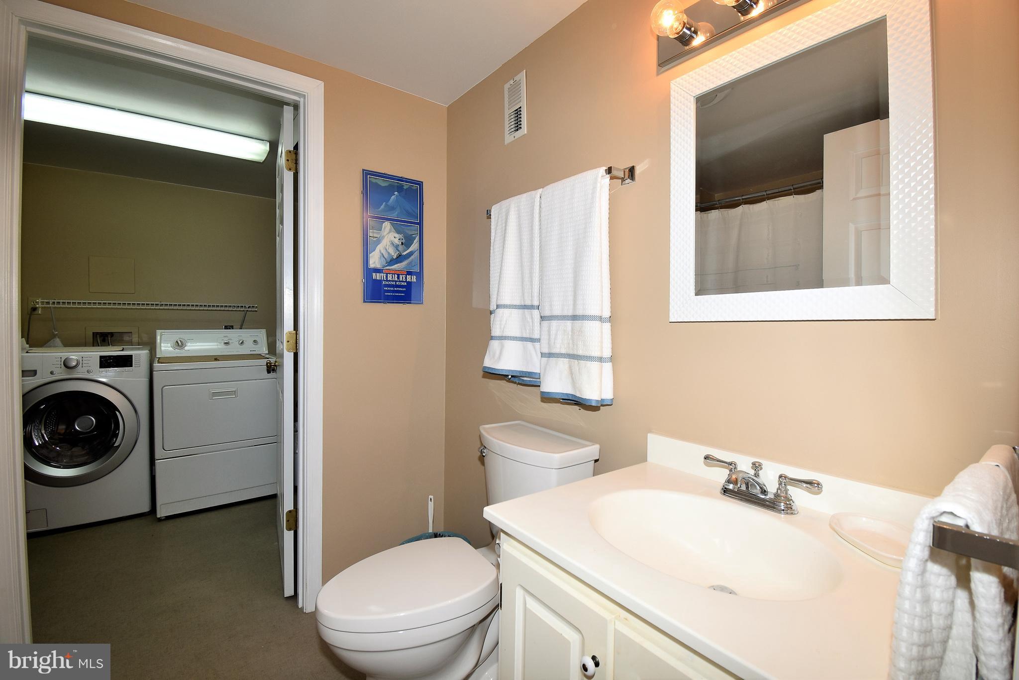 237 Blue Ridge Road Orange, VA 22960 - Photo 22 of 28 Basement