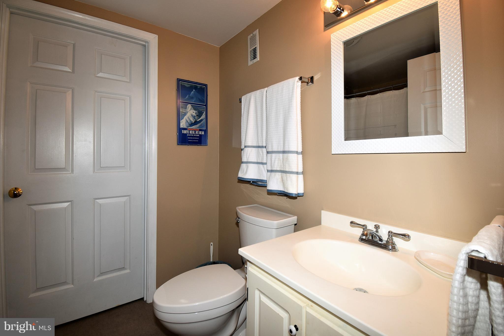237 Blue Ridge Road Orange, VA 22960 - Photo 23 of 28 Bath