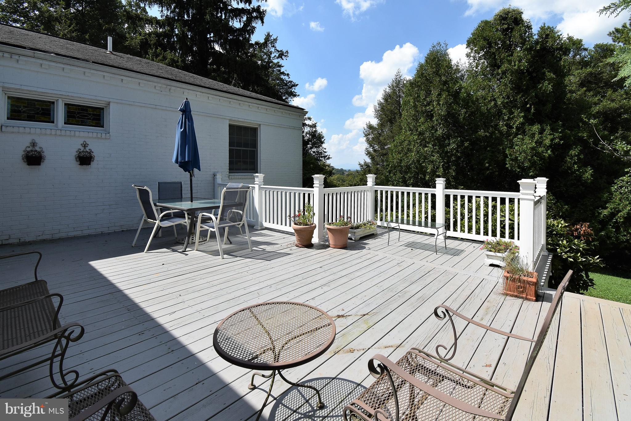 237 Blue Ridge Road Orange, VA 22960 - Photo 26 of 28 Exterior (Rear)