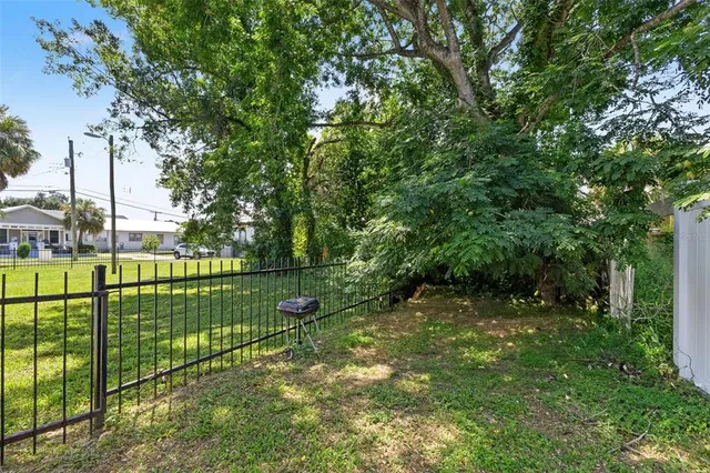 a view of a yard with a large trees