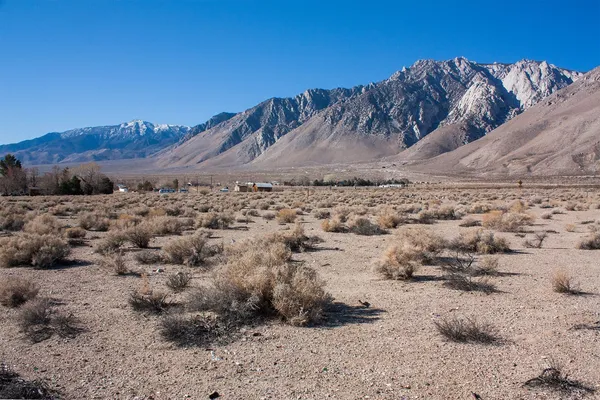 a view of a dry field with trees in the background