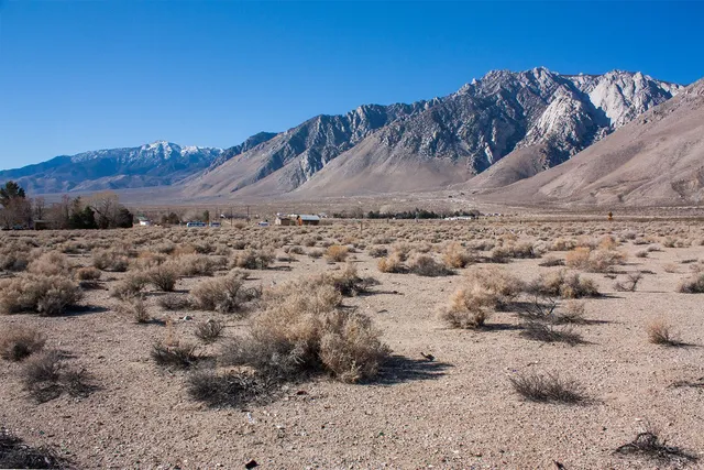 a view of a dry field with trees in the background