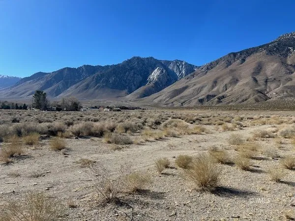 a view of beach and ocean