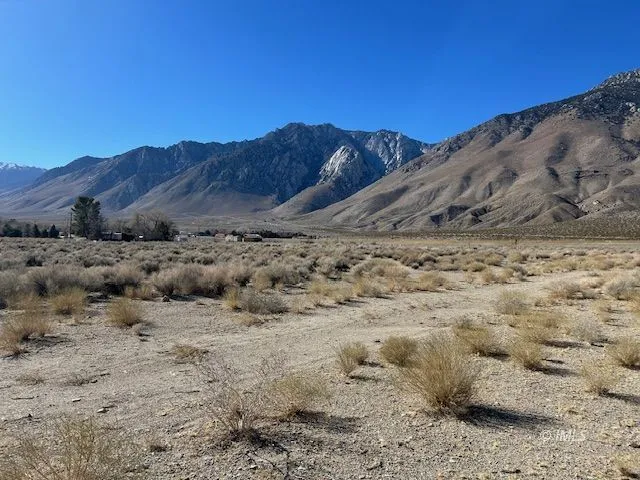 a view of beach and ocean