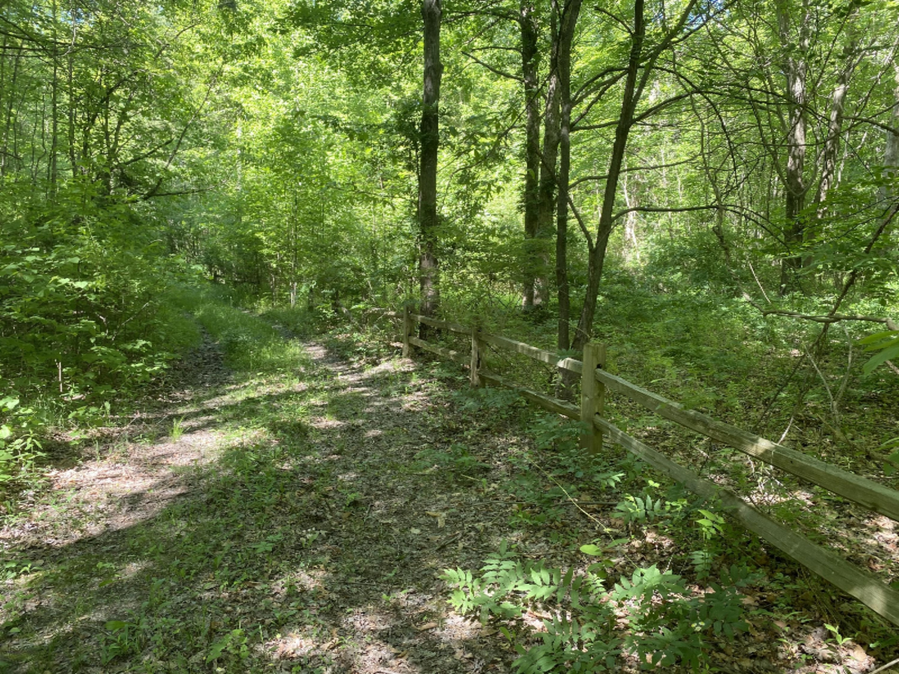 6716 West Youngren Road Three Oaks, MI 49128 - Photo 2 of 13 IMG_7647