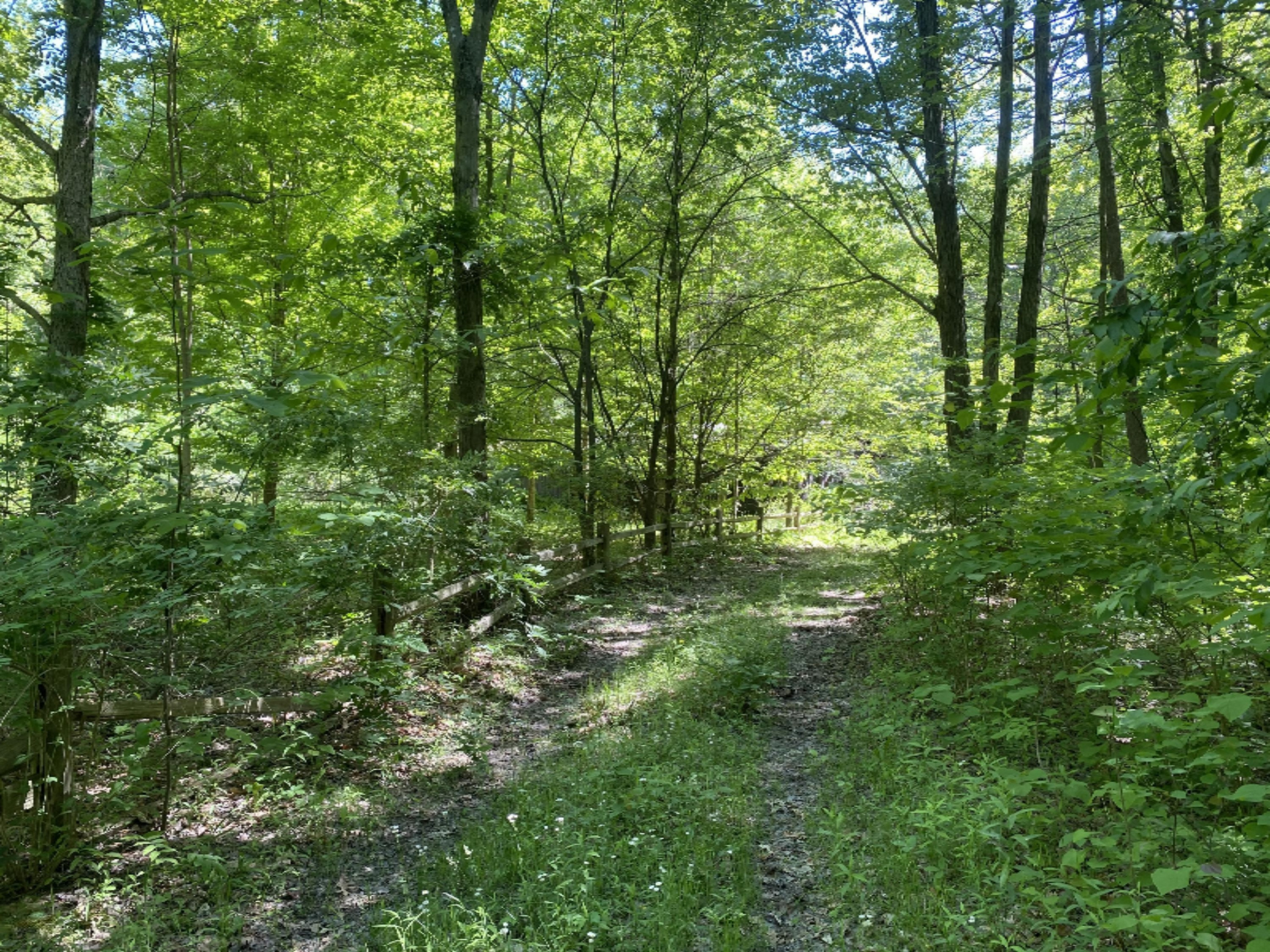 6716 West Youngren Road Three Oaks, MI 49128 - Photo 5 of 13 IMG_7635