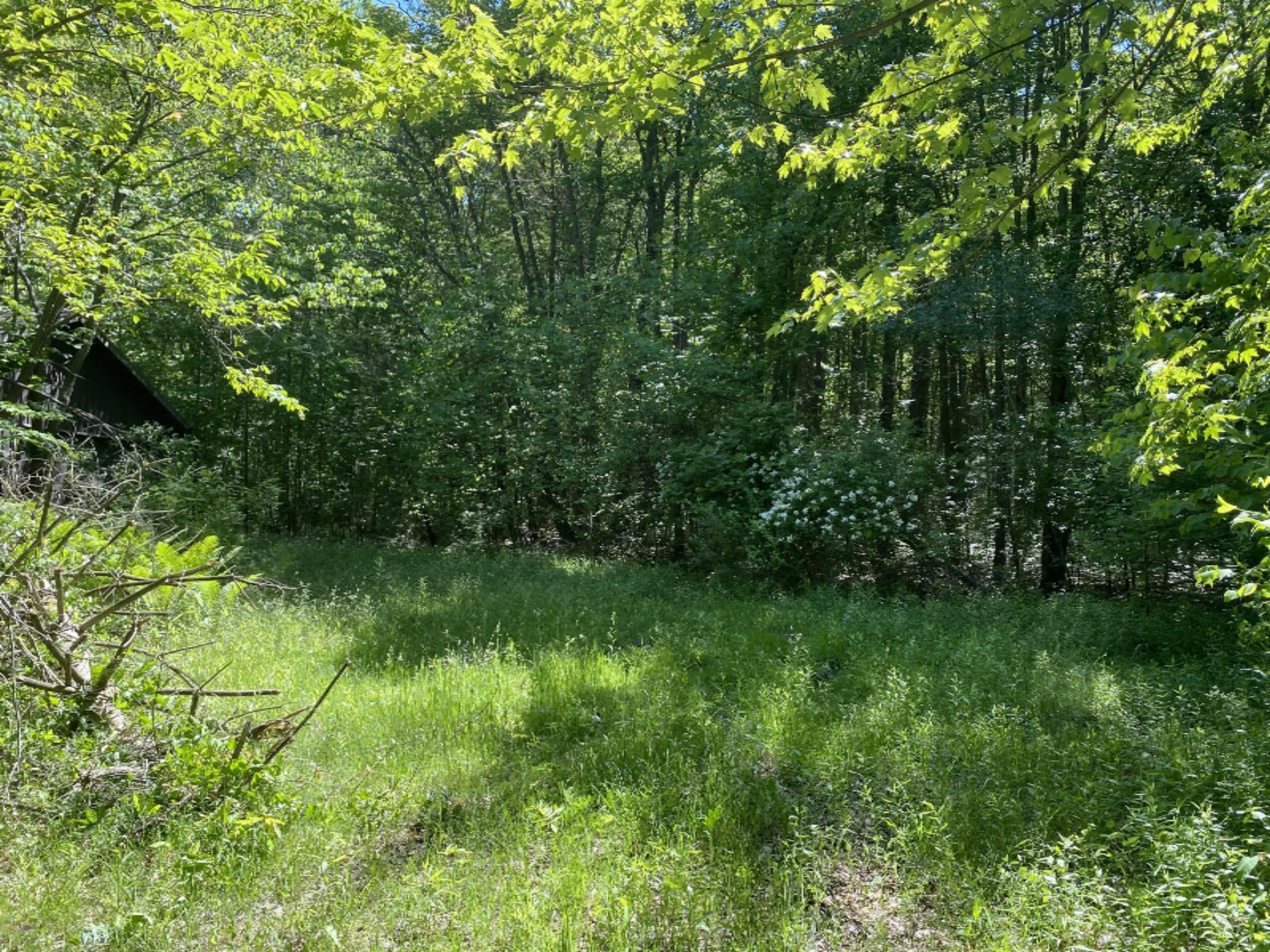 6716 West Youngren Road Three Oaks, MI 49128 - Photo 6 of 13 IMG_7636