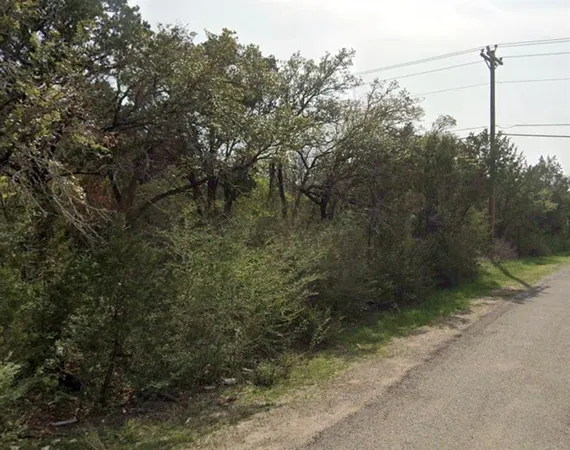 a view of a yard with large trees