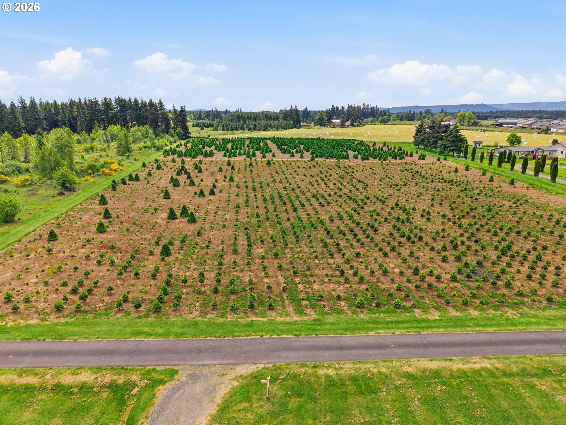 2 Shiloh Road Winlock, WA 98596 - Photo 12 of 16 a view of lake with a large trees