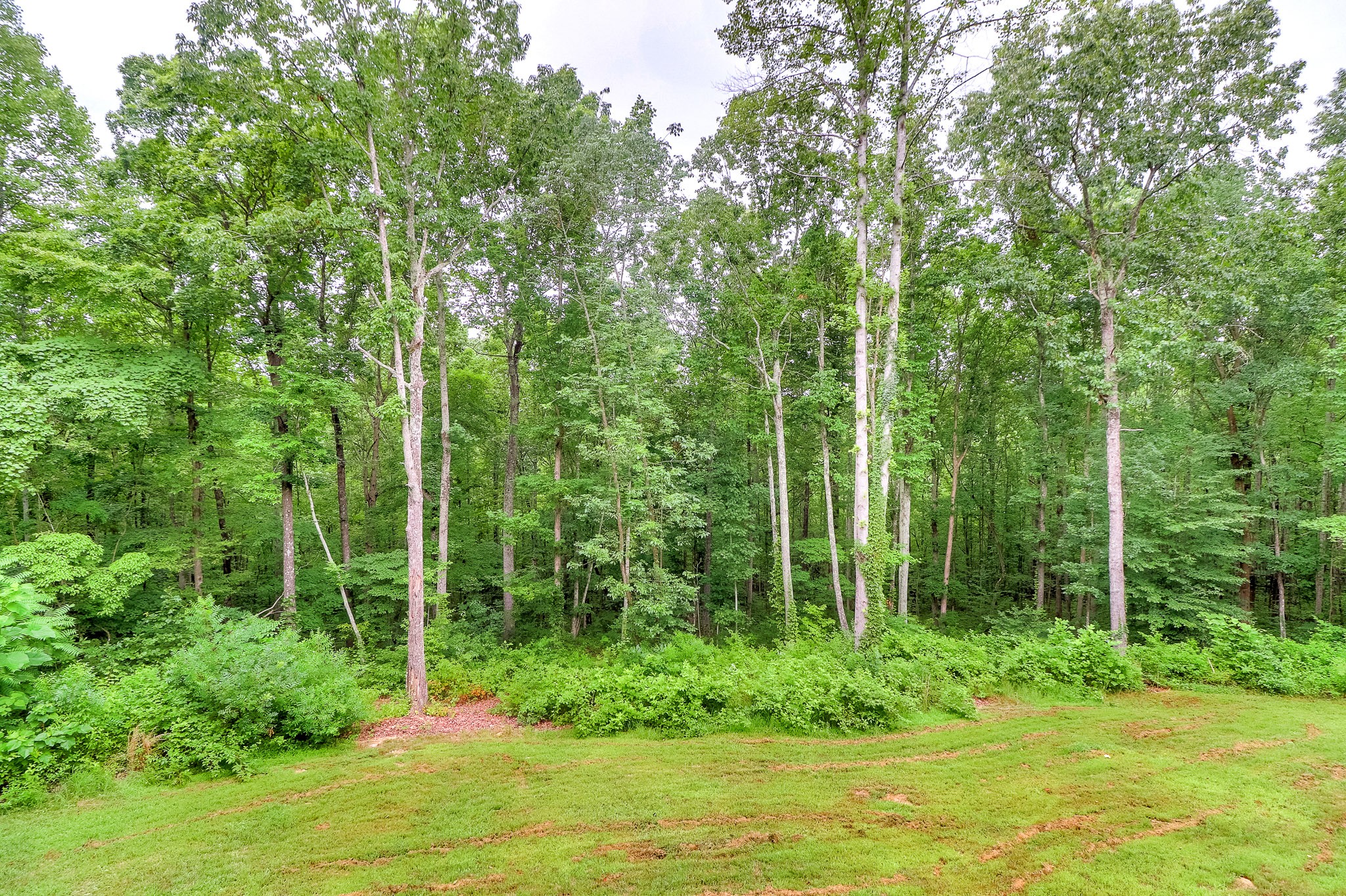 4510 Sears Road Pegram, TN 37143 - Photo 47 of 50 Gallery Image 47