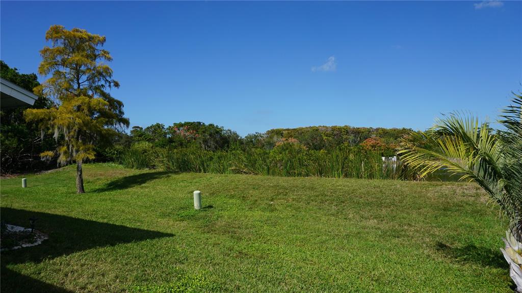 7602 Danube Drive, Unit 7602 Hudson, FL 34667 - Photo 22 of 31 a backyard of a house with lots of green space