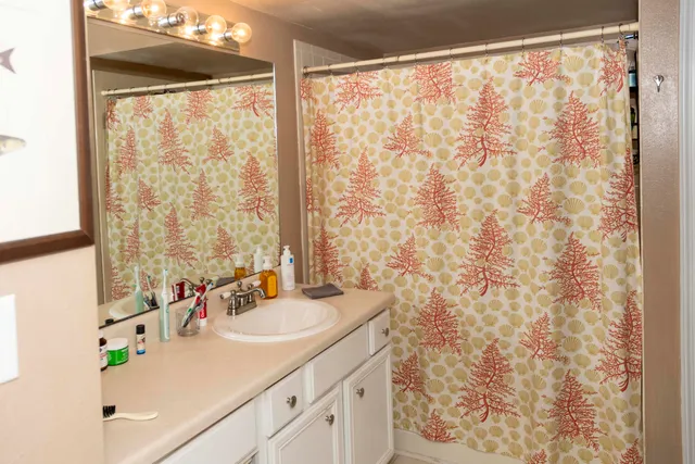 $1,500 | 700 Daniel Ellis Drive, Unit 12303, Charleston, SC 29412