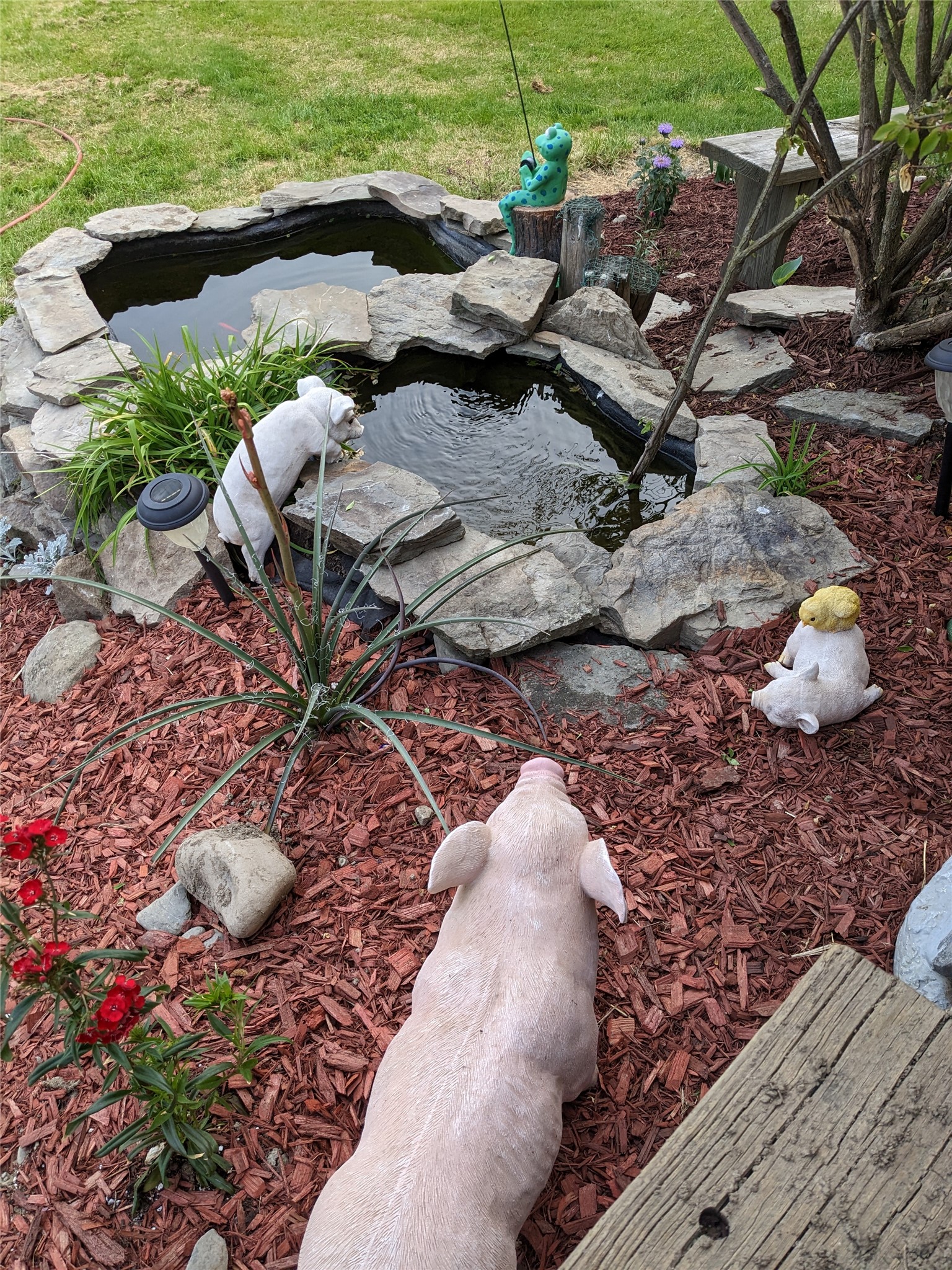 514 Crumtown Road Spencer, NY 14883 - Photo 21 of 50